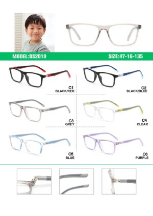 DS2019 Injection Eyewear Frame - Image 2