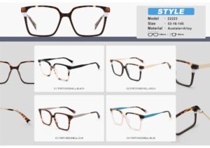 22223 Acetate Eyewear Frame - Image 2