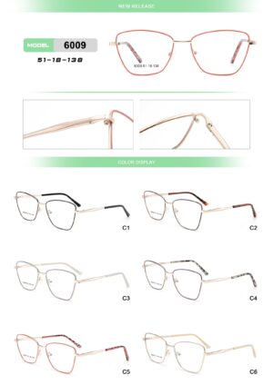 6009 Metal Eyewear Frame - Image 2