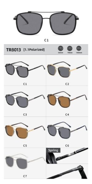 TR8013 - Image 2