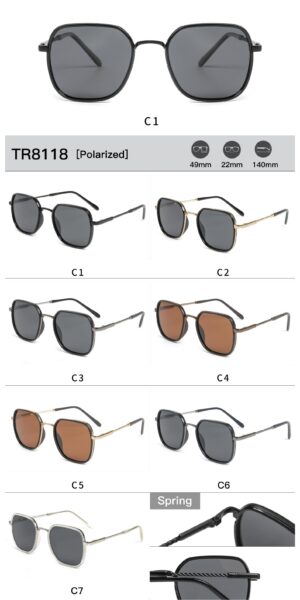 TR8118 - Image 2