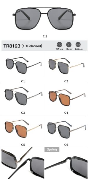 TR8123 - Image 2