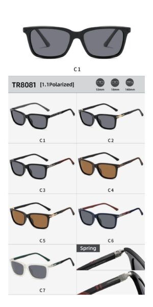 TR8081 - Image 2