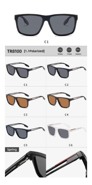 TR8100 - Image 2