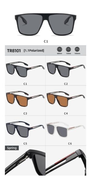 TR8101 - Image 2