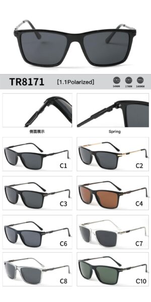 TR8171 - Image 2
