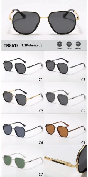 TR8613 - Image 2