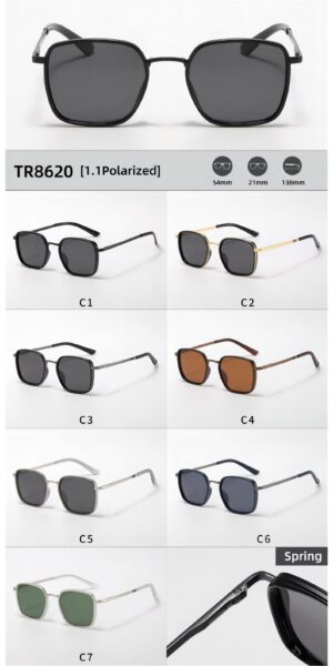 TR8620 - Image 2