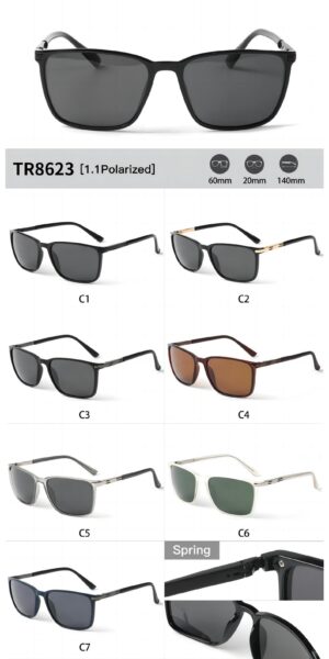 TR8623 - Image 2
