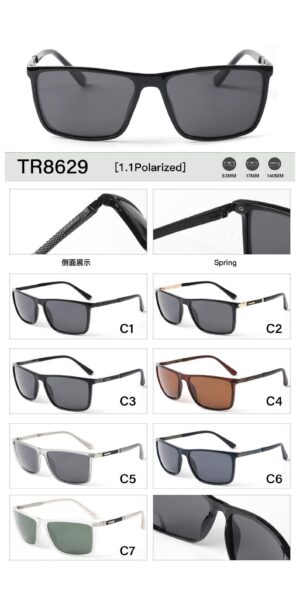 TR8629 - Image 2