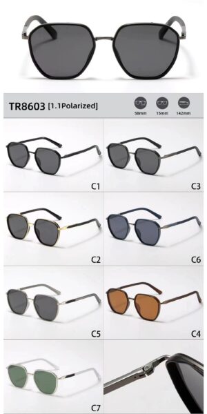TR8603 - Image 2