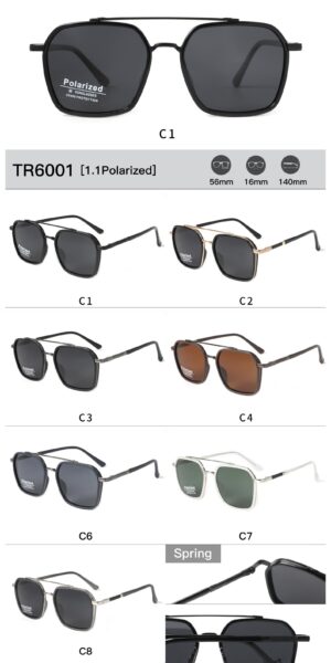 TR6001 - Image 2