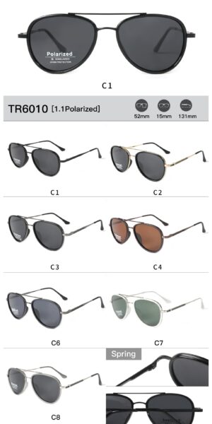 TR6010 - Image 2