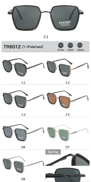 TR6012 - Image 2