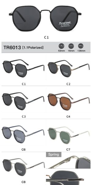 TR6013 - Image 2