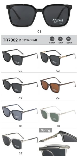 TR7002 - Image 2