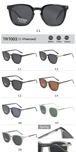 TR7003 - Image 2