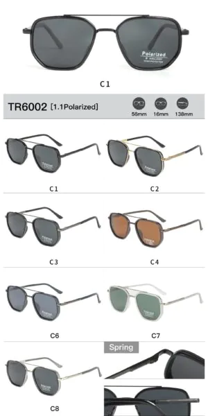 TR6002 - Image 2