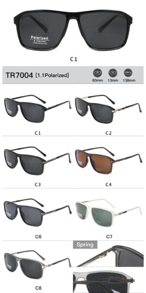 TR7004 - Image 2