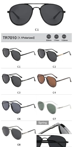 TR7010 - Image 2