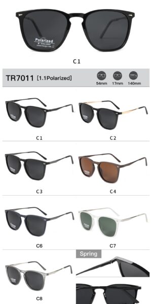 TR7011 - Image 2