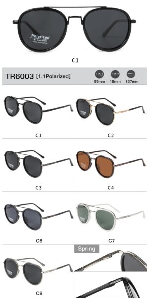 TR6003 - Image 2