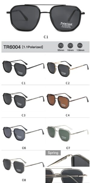 TR6004 - Image 2