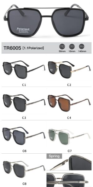TR6005 - Image 2