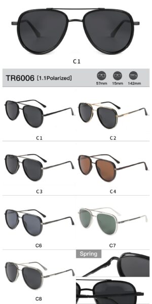 TR6006 - Image 2
