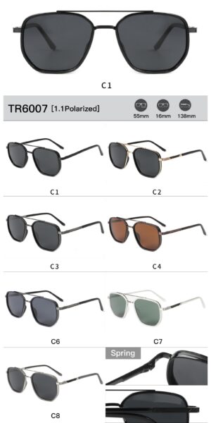 TR6007 - Image 2