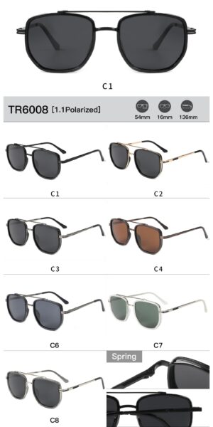 TR6008 - Image 2
