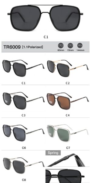 TR6009 - Image 2