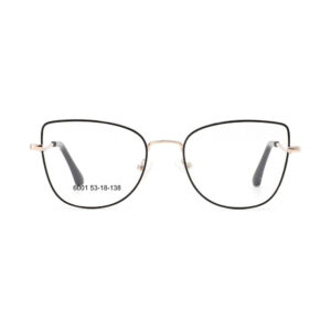 6001 Metal Eyewear Frame