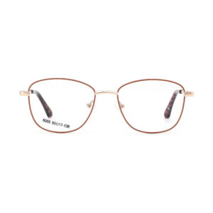 6005 Metal Eyewear Frame