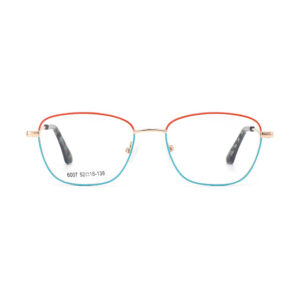 6007 Metal Eyewear Frame