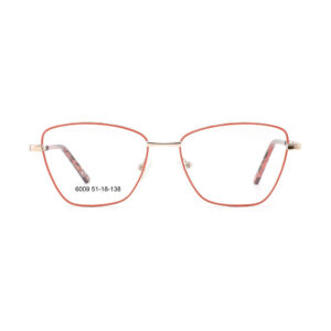6009 Metal Eyewear Frame