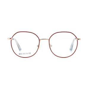6012 Metal Eyewear Frame