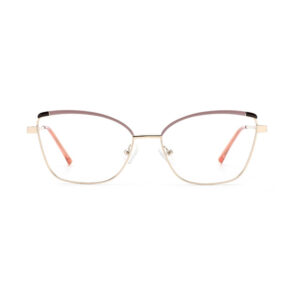 CTM8008 Metal Eyewear Frame
