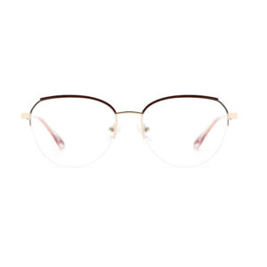 CTM8009 Metal Eyewear Frame