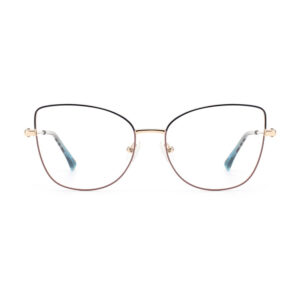 CTM8010 Metal Eyewear Frame