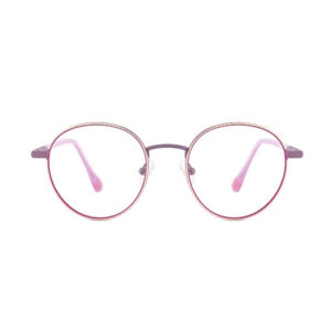 XCT801 Metal Eyewear Frame