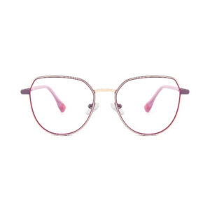 XCT804 Metal Eyewear Frame