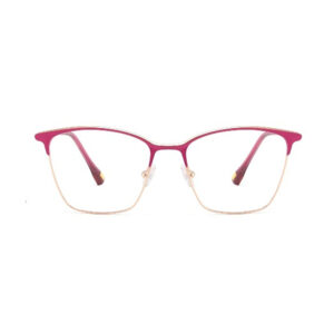 XCT814 Metal Eyewear Frame