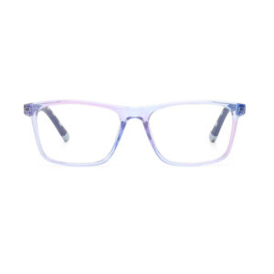 DS2001 Injection Eyewear Frame