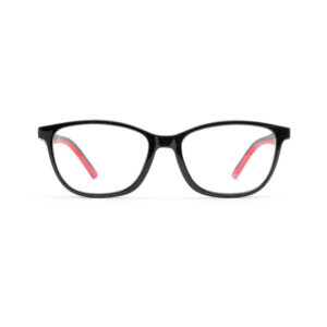 DS2014 Injection Eyewear Frame