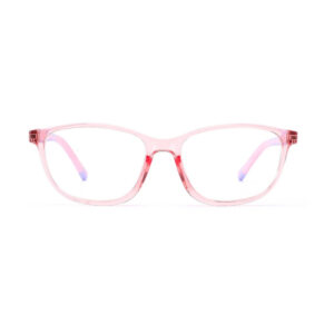 DS3002 Injection Eyewear Frame