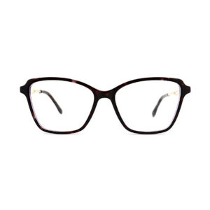 RDSY1006 Acetate Eyewear Frame