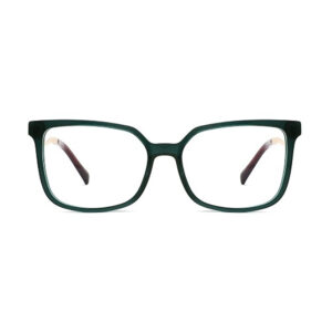 CHA10304 Acetate Eyewear Frame